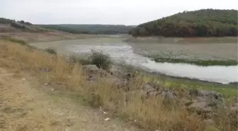 Gölet Kurudu, Binlerce Balık Telef Oldu