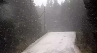 Bolu'ya Mevsimin İlk Karı Yağdı (2)