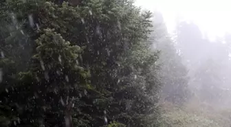 Bolu'ya Mevsimin İlk Karı Yağdı