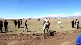 Rahvan At Yarışları Türkiye Şampiyonası