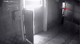 Sakarya Camideki Yardım Kutularındaki Paraları Çaldı