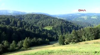 Ordu Karadeniz?