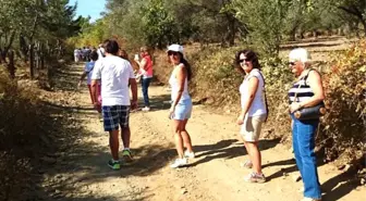 Tuncel Kurtiz'in Anısına Trekking Düzenlendi