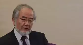 2016 Nobel Tıp Ödülü Japon Bilim Adamı Yoshinori Ohsumi'nin