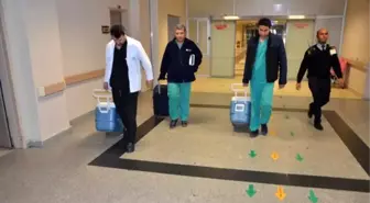 Organ Bağışı Sayesinde Hayallerine Kavuştu