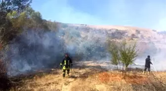 Darende'de Arazi Yangını