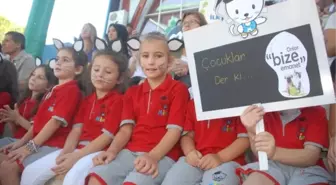 Hayvanları Koruma Günü Fethiye'de Kutlandı