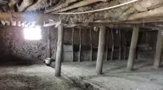 İstanbul ile Van Arasında Deyim Polemiği