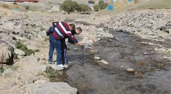 Ağrı'da Su Ürünleri Yetiştiriciliği