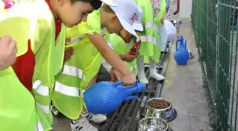 Anaokulu Öğrencileri Gönüllerince Hayvanları Severek Beslediler