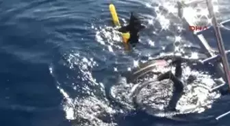 Kaş Nefesini, Şehitler İçin Tutacak