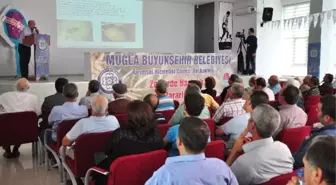 Milas Zeytininde Rekolte Düştü