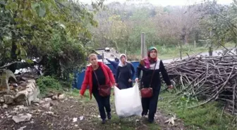 AK Parti Akçakoca Kadın Kolları Yaşlıları Ziyaret Etti