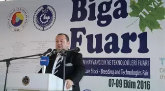 Biga Fuarı Ekonomiye Moral Oluyor