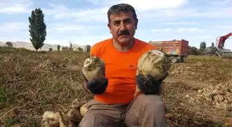 Kayseri Şeker'in Şeker Seferberliğine Çiftçilerden Tam Destek