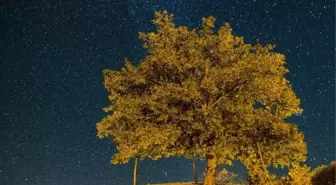 Ovacık'ta Yıldızların Dansı Göz Kamaştırdı