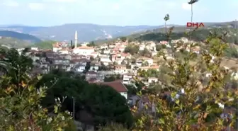 Balıkesir Balya'nın MHP'li Başkanından Fransızları Üzecek Dava Hazırlığı