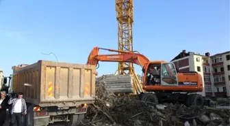 Emsal Artışı Dönüşümü Tetikledi