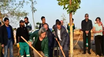 Ankara Katliamında Hayatını Kaybedenler İçin Fidan Dikildi