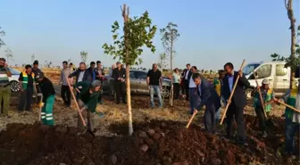 Eş Başkanlar Ankara Katliamında Hayatını Kaybedenler İçin Fidan Dikti