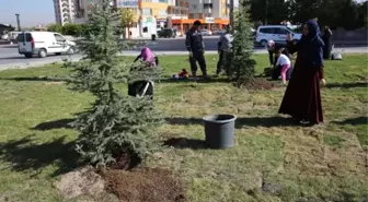 Mustafa Kaan Kumlu Kur'an Kursu Öğrencileri Fidan Dikti