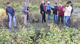 Kars'ta Trenin Çarptığı Ayı Yavrusu Yaralandı