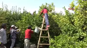 Erdemli Okuduğu Okula Bilgisayar Laboratuvarı Kurdu+