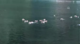 Uzungöl, Işıl Işıl Olacak