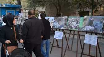 Kütahya'da Suriye ve Halep Konulu Fotoğraf Sergisi