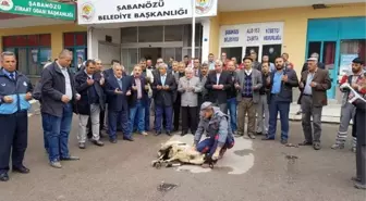 Trafik Kazasında Yaralanan Belediye Başkanı Karakaya Görevine Başladı