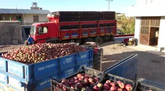 10 Kuruşa Meyve Suyu, 50 Kuruşa Birinci Kalite Elma