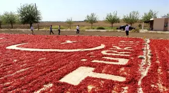 Bayrak ve Türkiye Sevgisini Biber Sergisine İşledi