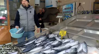 Olumsuz Hava Şartları Balık Fiyatlarını Yükseltti