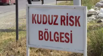 Afyonkarahisar'da Kuduz Karantinası