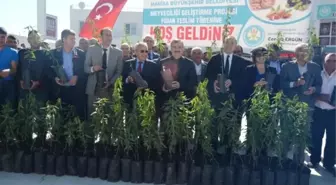 Büyükşehirden Selendili Çiftçilere Fidan Desteği