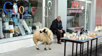Dadaş Mucit' Tanıtım İçin Protokolü Böyle Bekledi