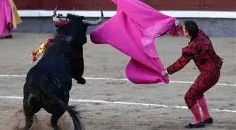 Katalonya'da Boğa Güreşi Yasağı Kaldırıldı