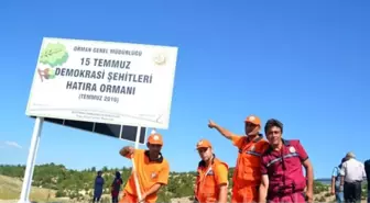 Mardin'de '15 Temmuz Demokrasi Şehitleri Hatıra Ormanı' Oluşturuldu