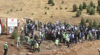 Mardin'de 15 Temmuz Şehitleri Anısına Hatıra Ormanı Oluşturuldu