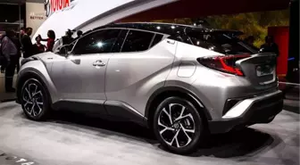 Avrupa'ya Türk Kanıtı