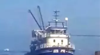 Gırgır Teknesi Balık Çiftliğine Daldı, Binlerce Balık Telef Oldu