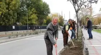 Kış Sezonuna Hercai Menekşe
