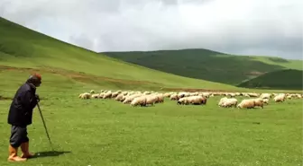 Aybastı'da Turizm Gelişiyor