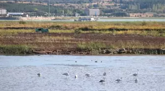 Beyşehir Gölü Kıyıları Kuraklık Nedeniyle Çekildi