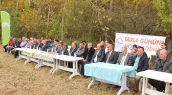 Terme'de 'Soya Yetiştiriciliği Hasat Tarla Günü' Düzenlendi