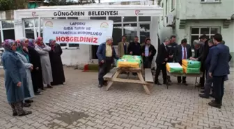 İtalyan Çimi Tohumu Dağıtımı Dumanlı'da Gerçekleştirildi