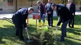 Tü'den Geleneksel 'Cumhuriyet Fidanı' Töreni