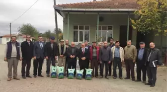 Üreticilere Yonca Tohumu Dağıtıldı