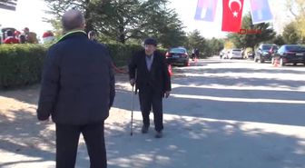 Isparta Budanan Çınarın Yapraklarını Topladılar