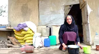 Yyü'den Belgrad'da Fotoğraf Sergisi